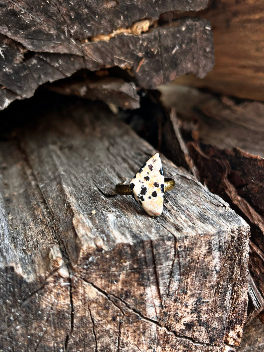 Dalmatian Jasper adjustable ring
