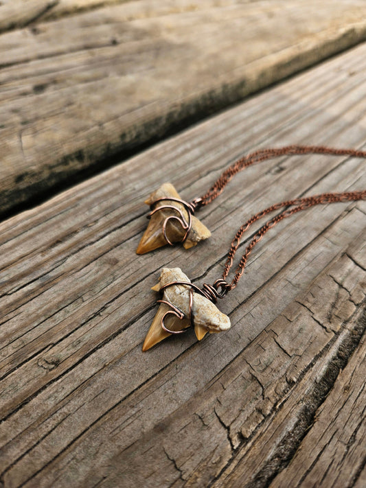 Morocco Shark tooth necklace