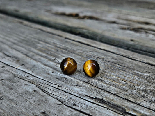 Tigers eye stud earrings